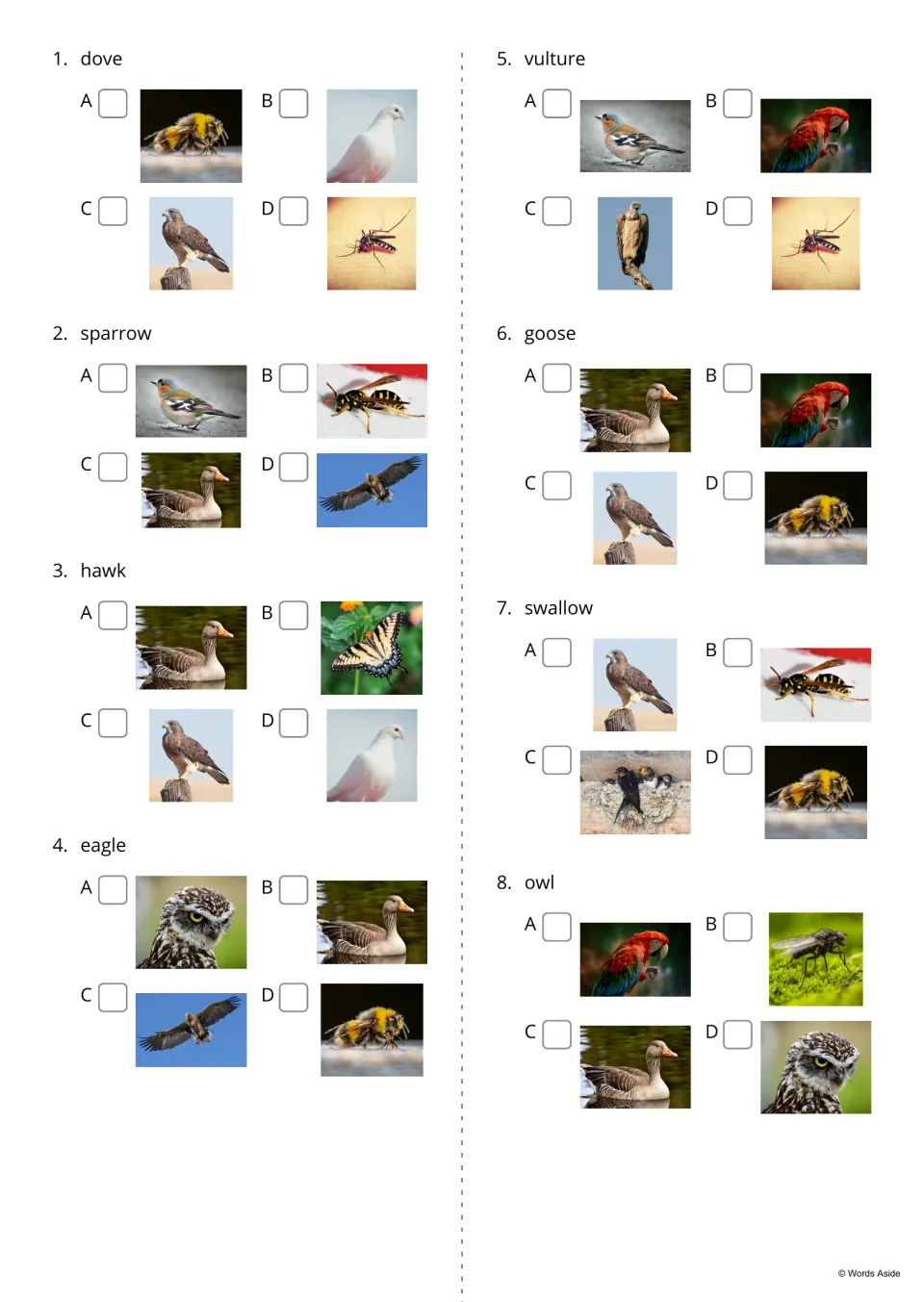 Picture choice items 1-8: for each word such as dove, sparrow or owl, students tick the one matching photo of four