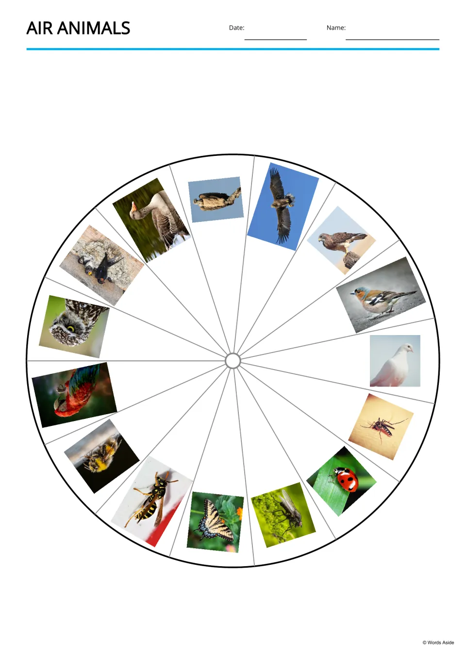 Air animals picture wheel: 15 photos, including a goose, eagle, dove, ladybug and butterfly, arranged around a circle