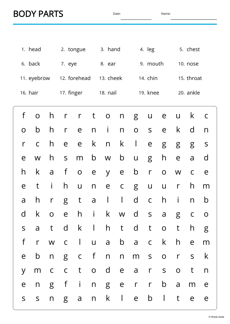 Body-parts word search featuring 20 vocabulary words, including head, tongue, hand, leg, chest, and ankle