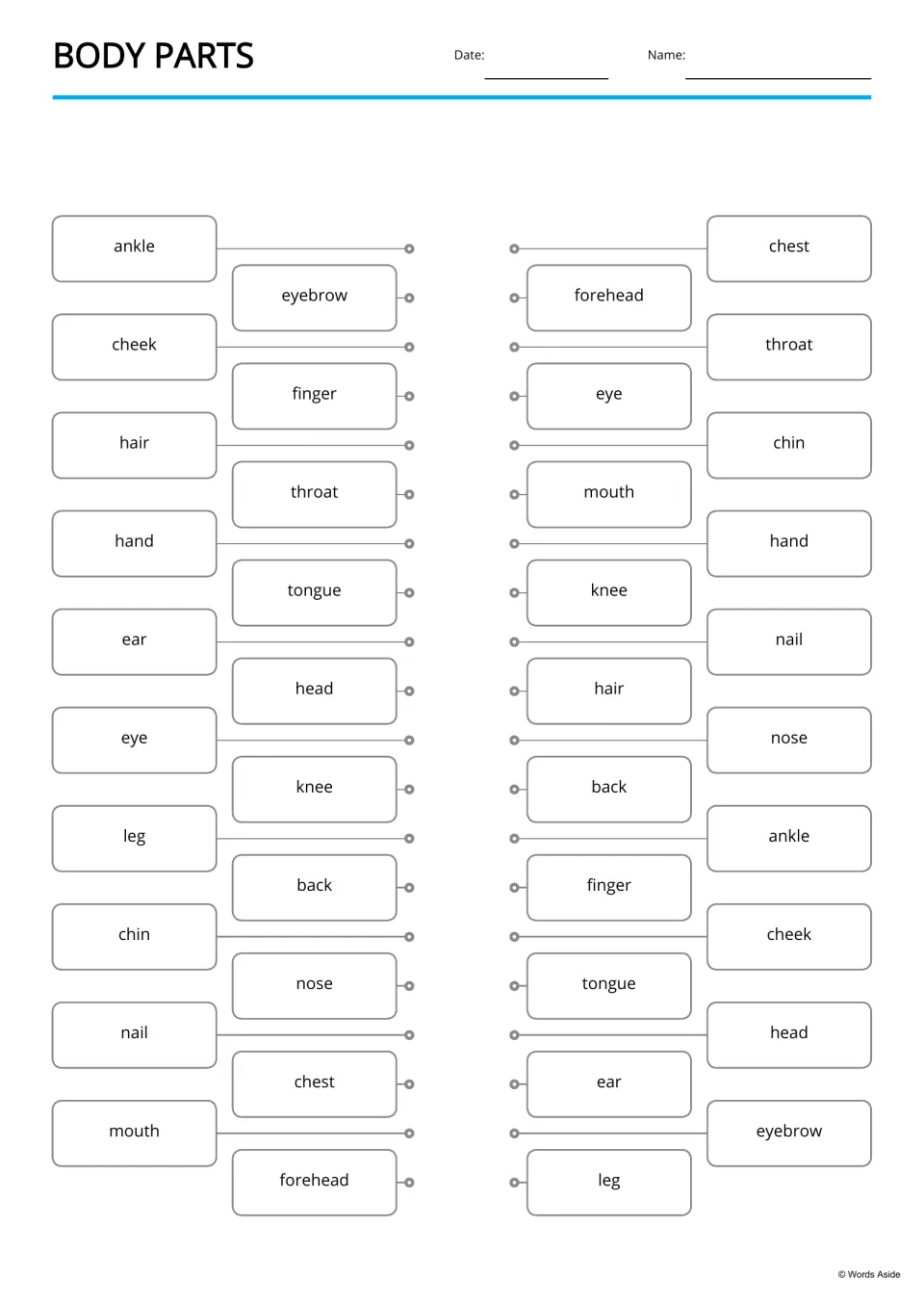 Body-parts word matching activity repeats 20 terms in different orders, including ankle, cheek, and hair