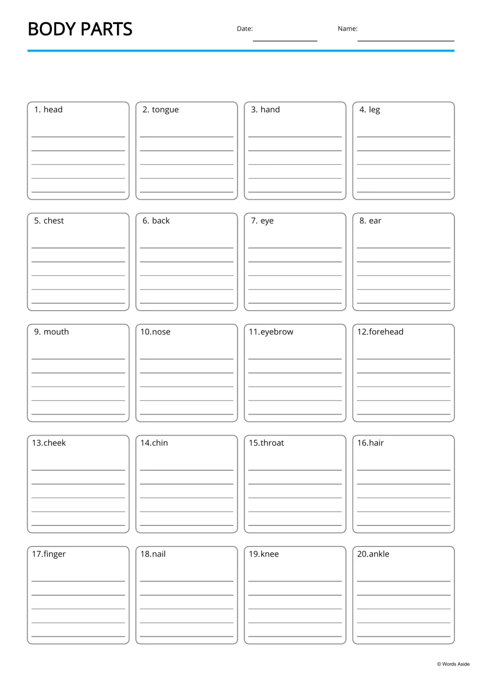 Body-parts handwriting practice provides writing space for 20 terms, including tongue, eyebrow, and knee