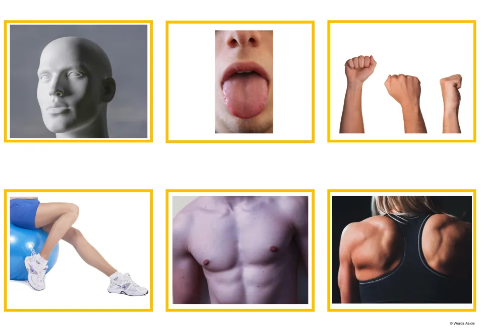 Body-parts vocabulary photo cards 1–6 show a head, tongue, hands, legs, chest, and back to accompany the words