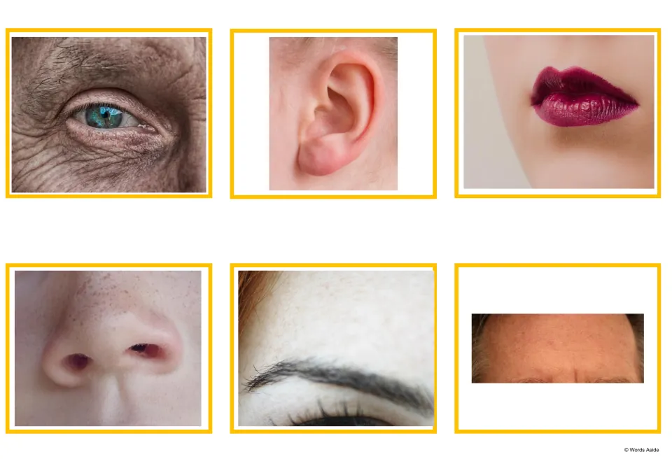 Body-parts vocabulary photo cards 7–12 show an eye, ear, mouth, nose, eyebrow, and forehead in close-up