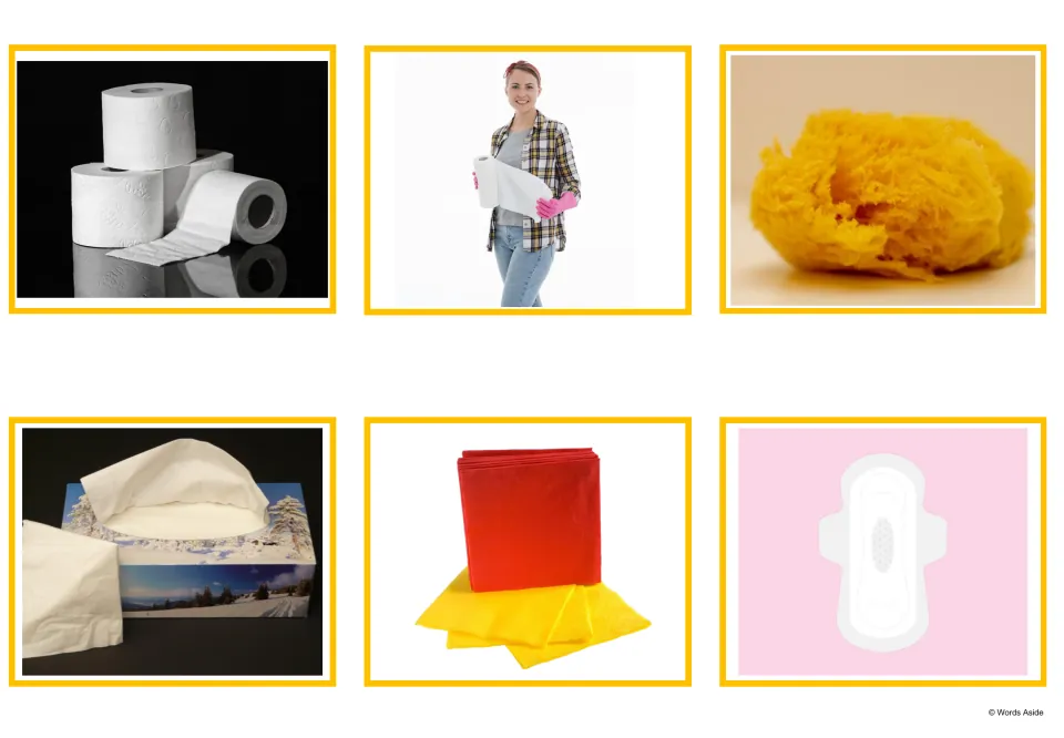 Hygiene picture cards: photos of toilet paper rolls, a paper towel roll, a sponge, a tissue box, napkins and a sanitary pad