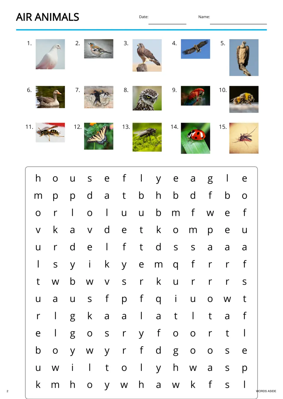Air animals word search: students name 15 bird and insect photos, then find words like housefly and eagle in the grid