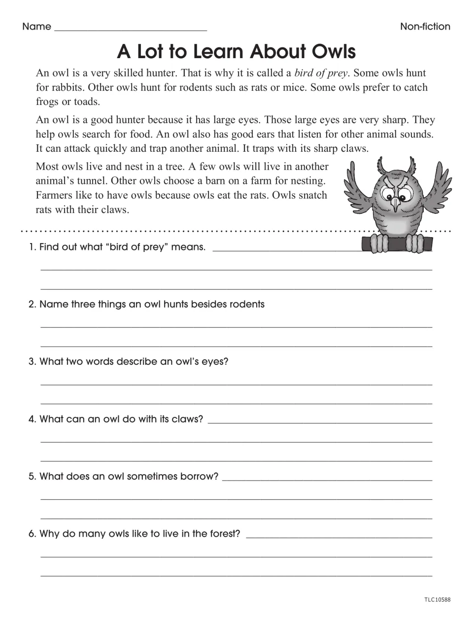 A Lot to Learn About Owls nonfiction worksheet with six questions on prey, hunting, eyes, claws, and nesting