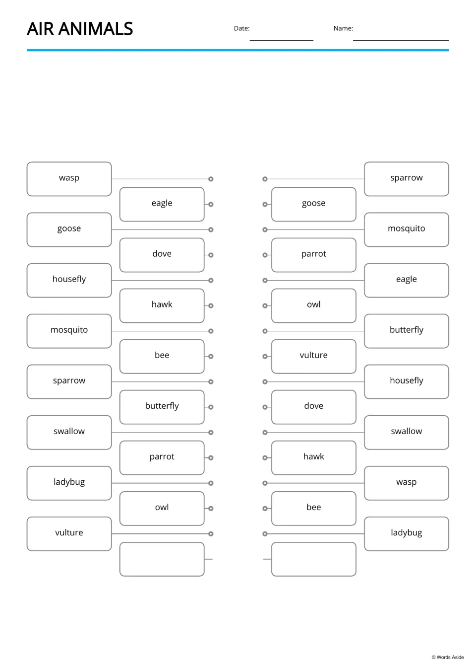 Air animals word matching: students connect identical words such as wasp, eagle and hawk between two word lists
