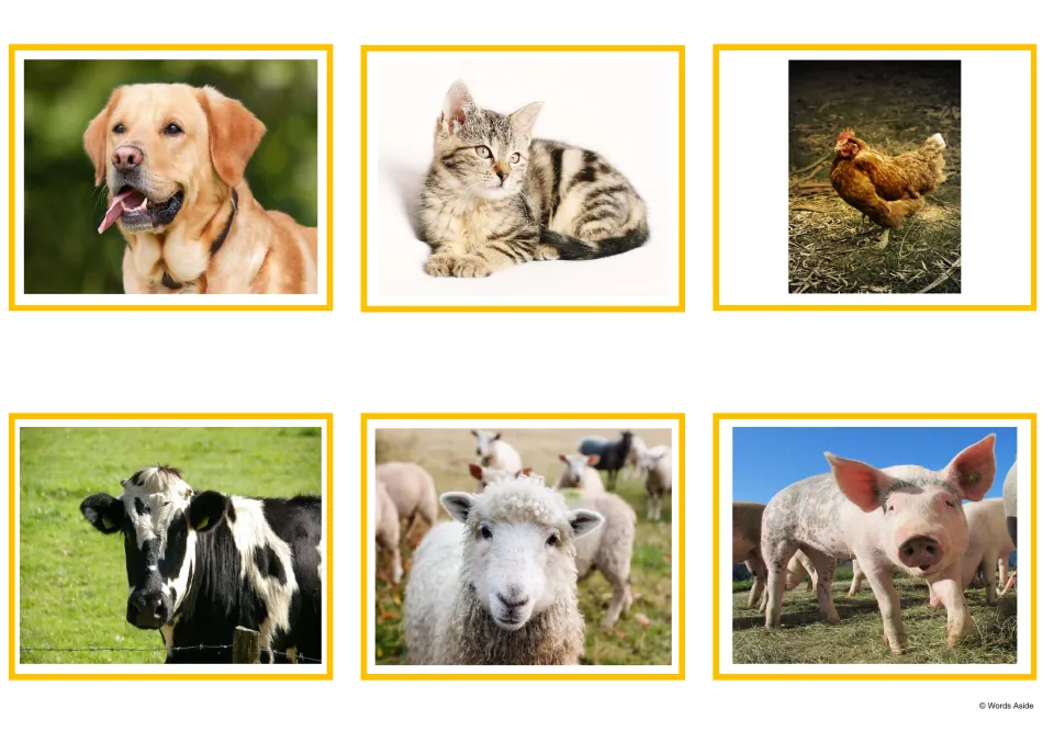 Animal photo cards showing a dog, a cat, a hen, a cow, a sheep and a pig, for matching pictures to the vocabulary words