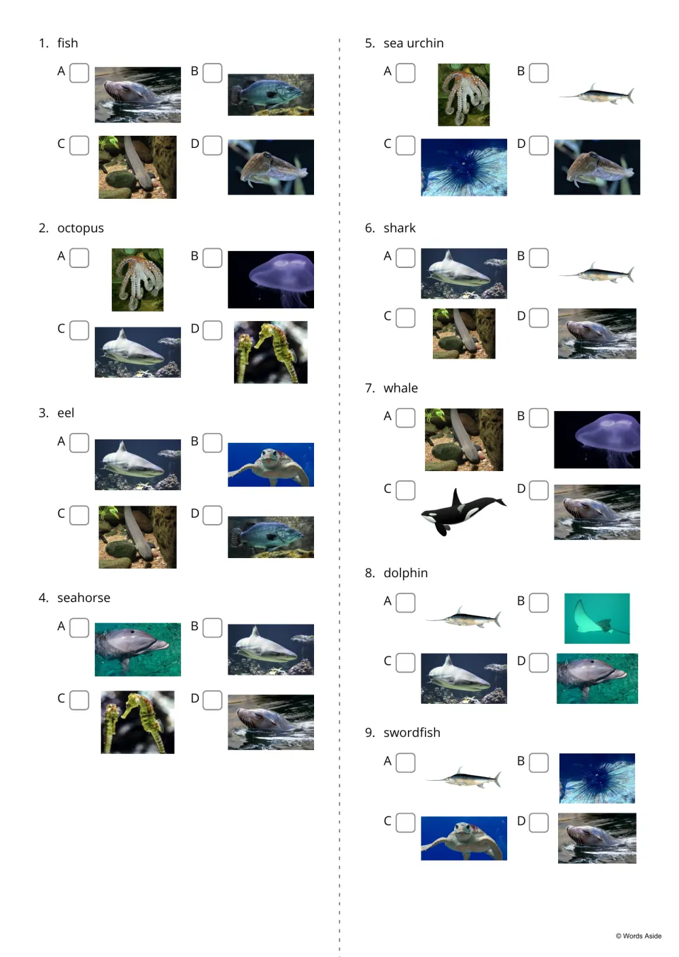 Word-to-photo quiz, items 1-9: for each name, such as fish, octopus or eel, students tick which of four photos matches