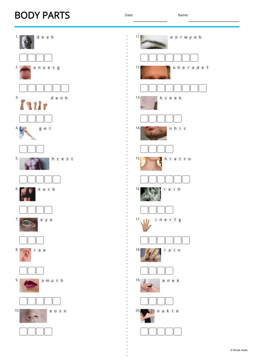Body parts anagrams: students unscramble 20 words such as deah and onuetg, using a photo clue beside each one