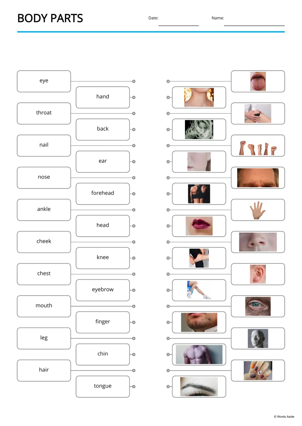 Body parts matching: students draw lines linking 20 words like eye, throat, knee and tongue to the photo of each body part