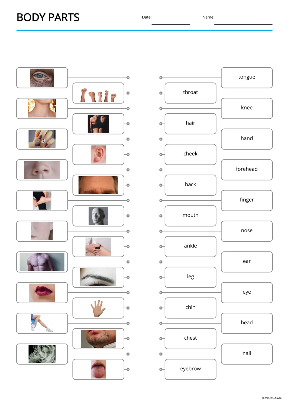 Body parts photo-to-word match: students connect 20 photos, such as an eye and fists, to words like throat and nail