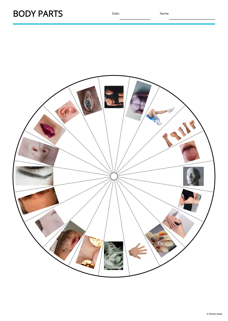 Body parts picture wheel: a circle of 20 slices, each holding a photo such as an ear, an eye, a tongue, a hand or a knee