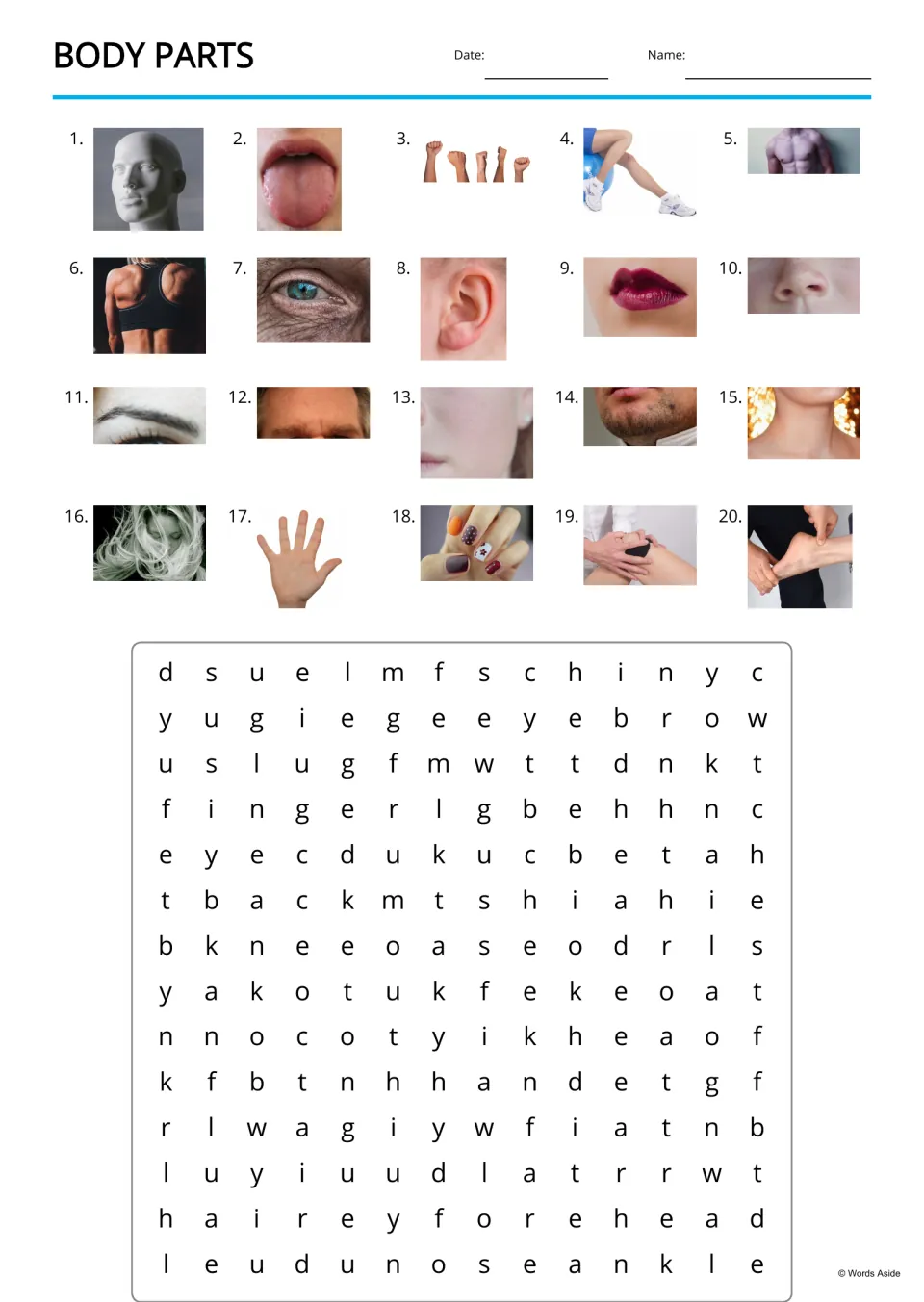 Body parts word search: students find the names of 20 photos, such as finger, forehead and ankle, in a letter grid