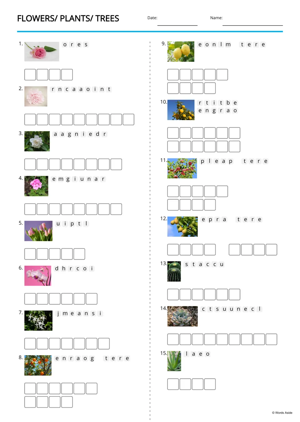 Flowers, plants and trees anagrams: students unscramble 15 names such as rose and lemon tree, each beside a photo