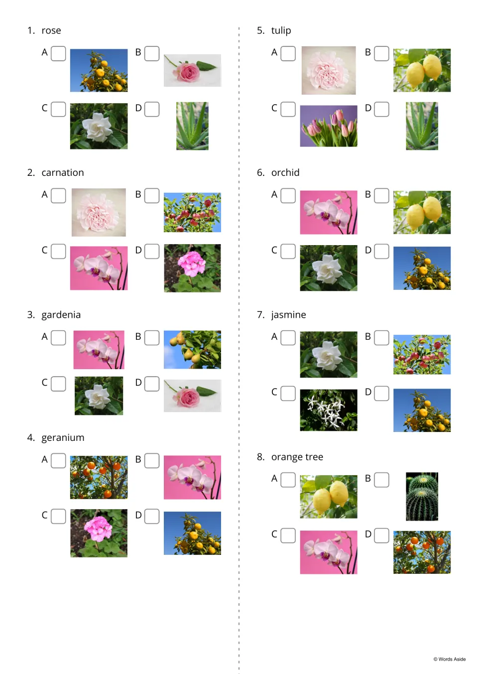 Picture choice quiz, items 1 to 8: students read a plant name like gardenia or orange tree and tick the matching photo