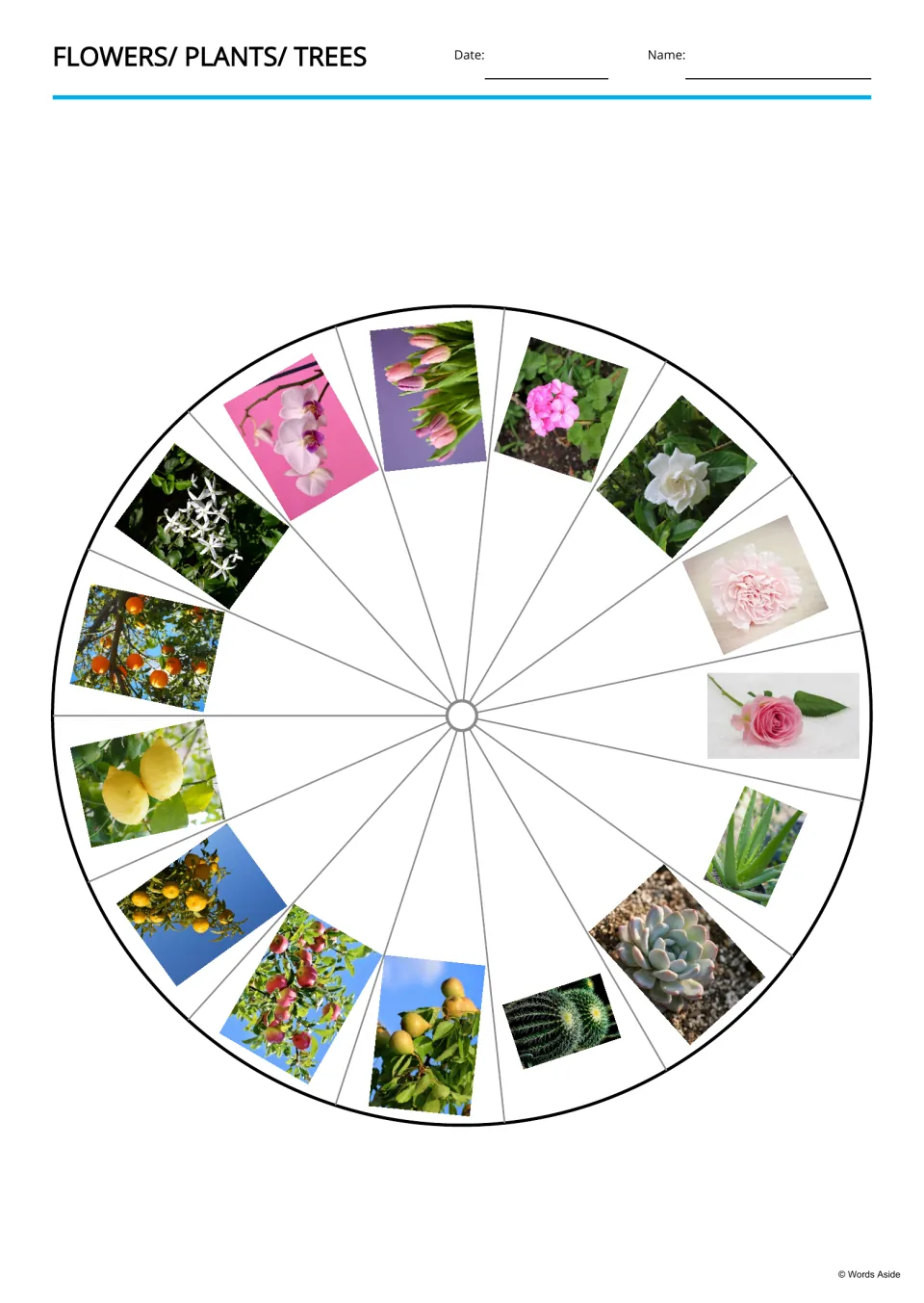 Plant photo wheel: 15 photos of flowers, cacti and fruit trees set around a circle in segments, one per plant