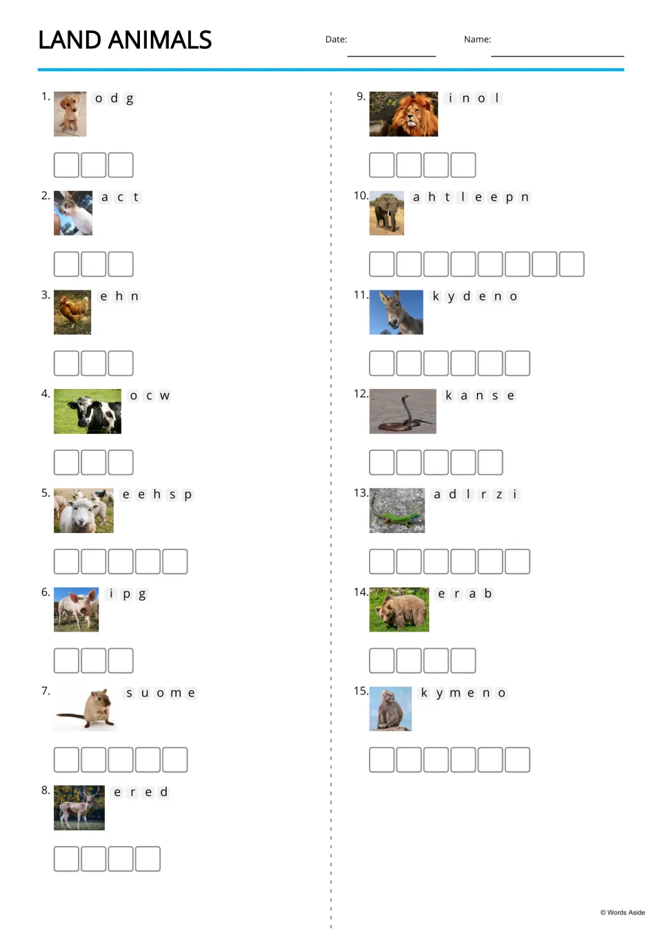 Land animal anagrams: students unscramble letters beside 15 animal photos, such as o d g for dog, and spell each in boxes