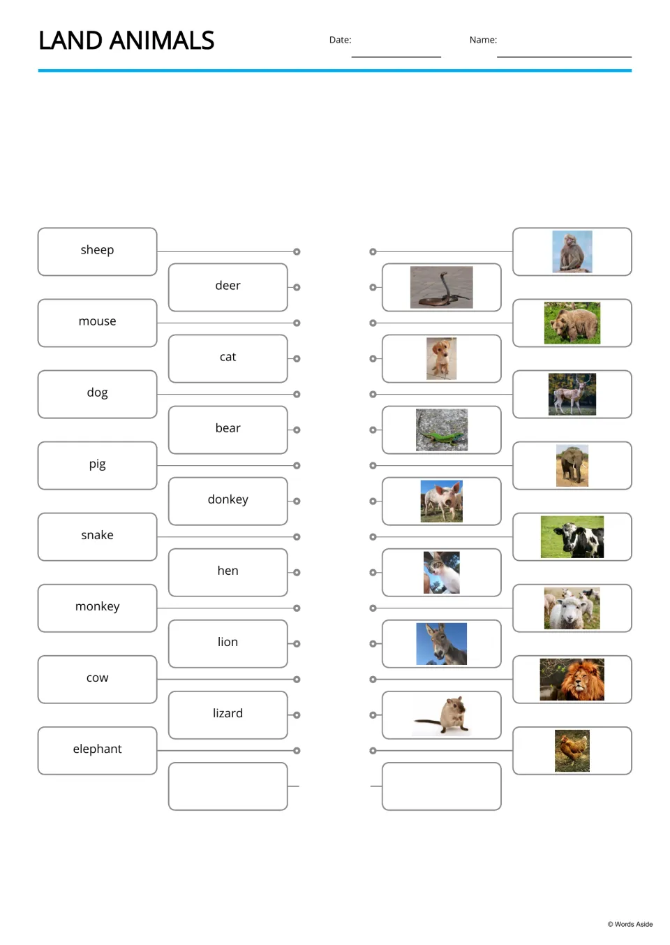 Land animals word-to-picture matching: students join 15 names like sheep, deer and lizard to the matching animal photos