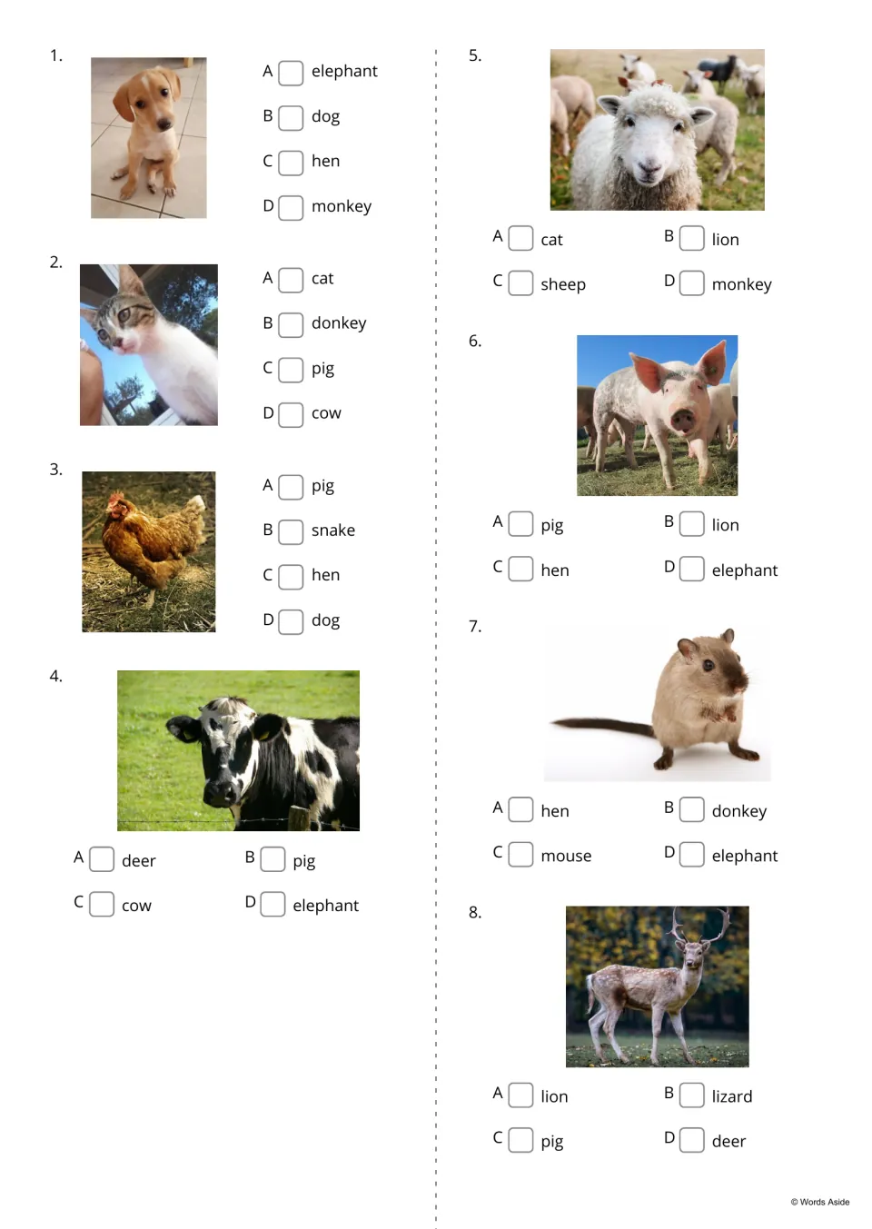 Animal naming quiz, items 1-8: students look at each photo, such as a dog or hen, and tick its name from four choices