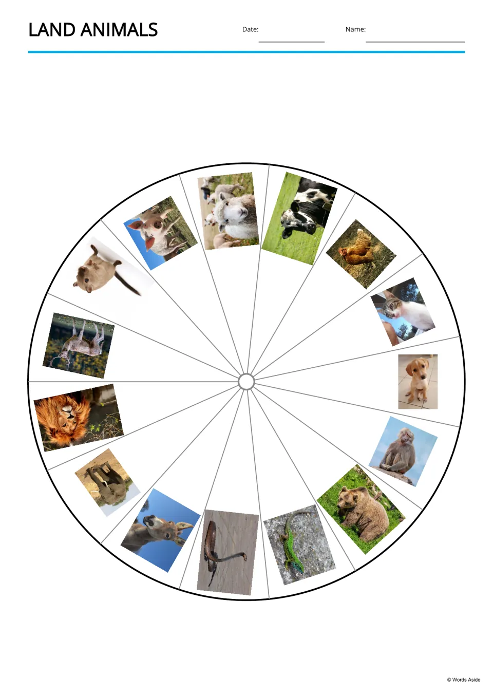 Land animals picture wheel: 15 animal photos, including pig, sheep, cow, lion and bear, set in segments around a circle