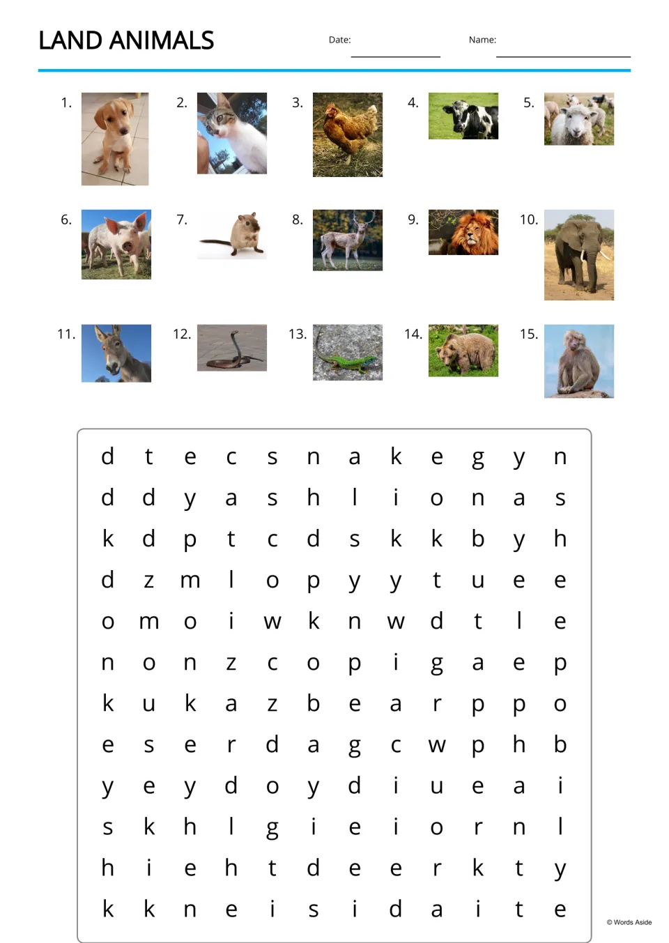 Land animals word search: students find the names of 15 pictured animals, including dog, cat and monkey, in a letter grid