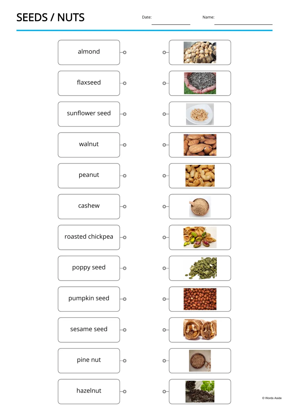Seeds and nuts matching: students draw lines from 12 names such as almond, flaxseed and hazelnut to the matching photos