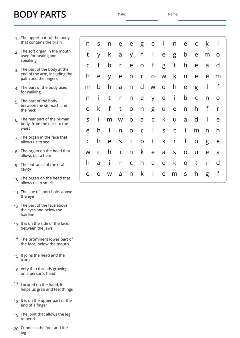Body parts word search: students read 20 clues, like the joint that allows the leg to bend, and find each body word