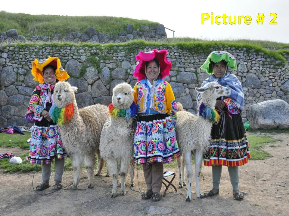 Picture # 2: three Andean women in bright woven clothing and hats stand with llamas before a stone wall, for analysis