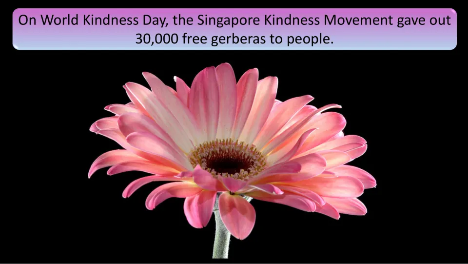 Campaign example slide describes the Singapore Kindness Movement giving out 30,000 free gerbera flowers.