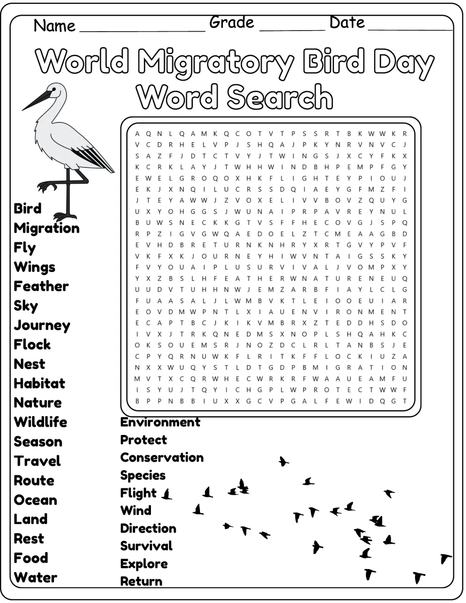 Black-and-white bird migration puzzle: students hunt for 30 words such as journey, conservation and survival