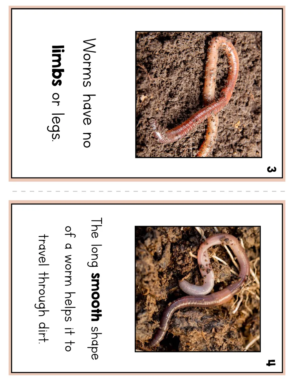 Worm reader pages 3 and 4 explain that worms have no limbs and their long, smooth shape helps them travel in dirt