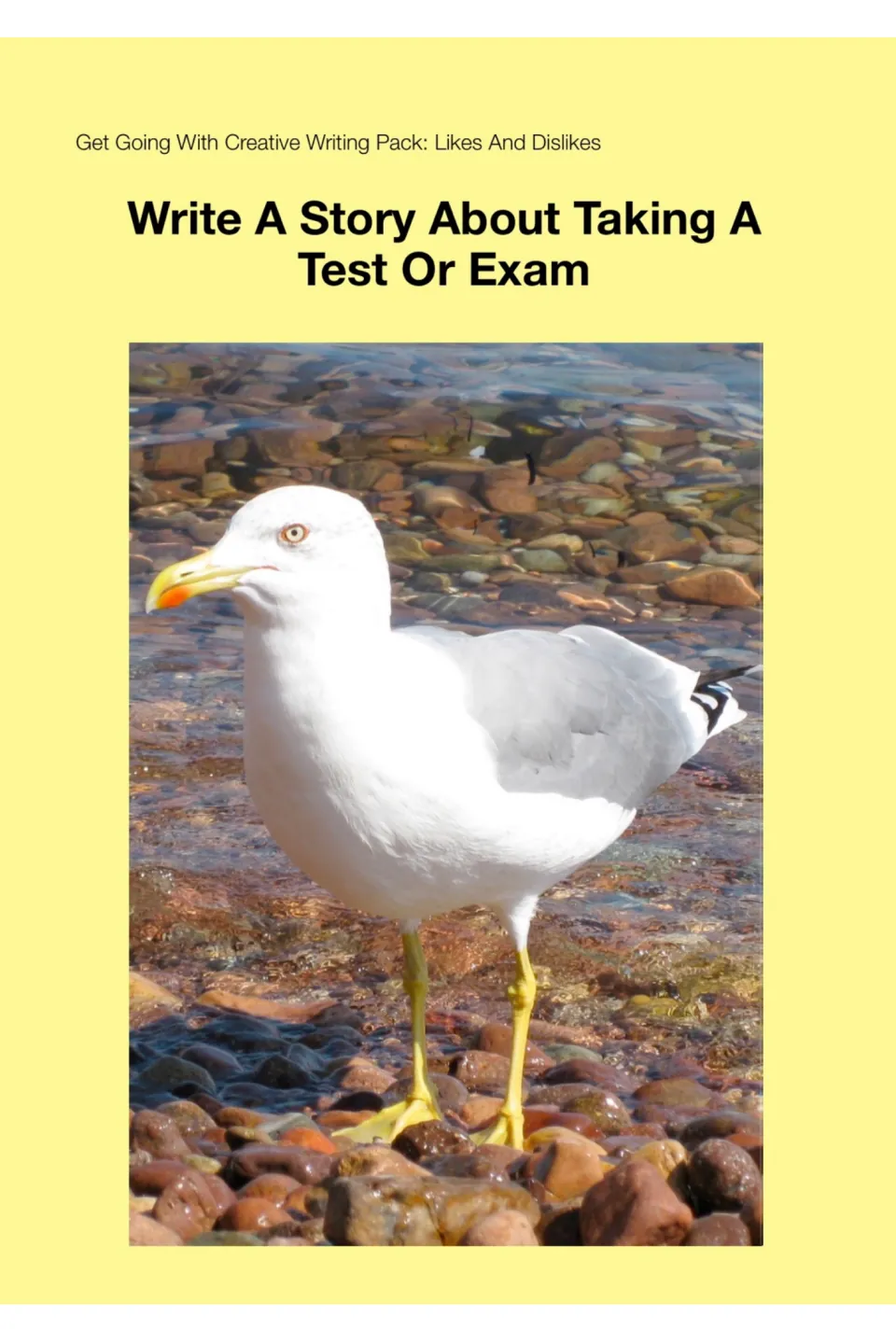Write A Story About Taking A Test Or Exam cover from the Likes And Dislikes creative writing pack, with a seagull photo