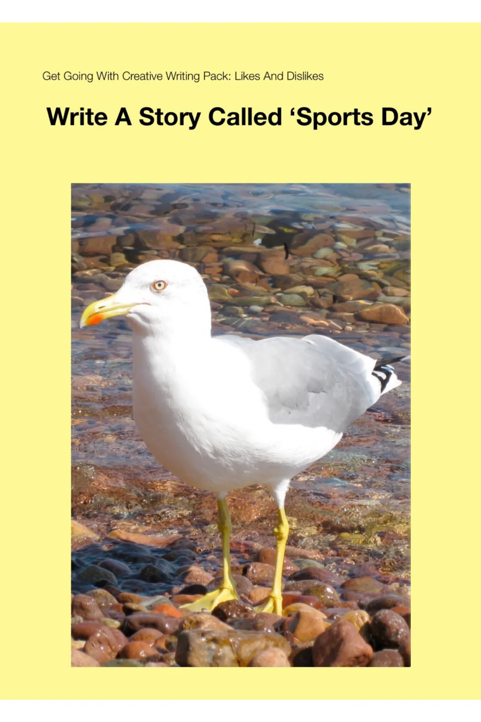 Cover of the Sports Day story-writing task from Get Going With Creative Writing Pack: Likes And Dislikes, with a gull photo