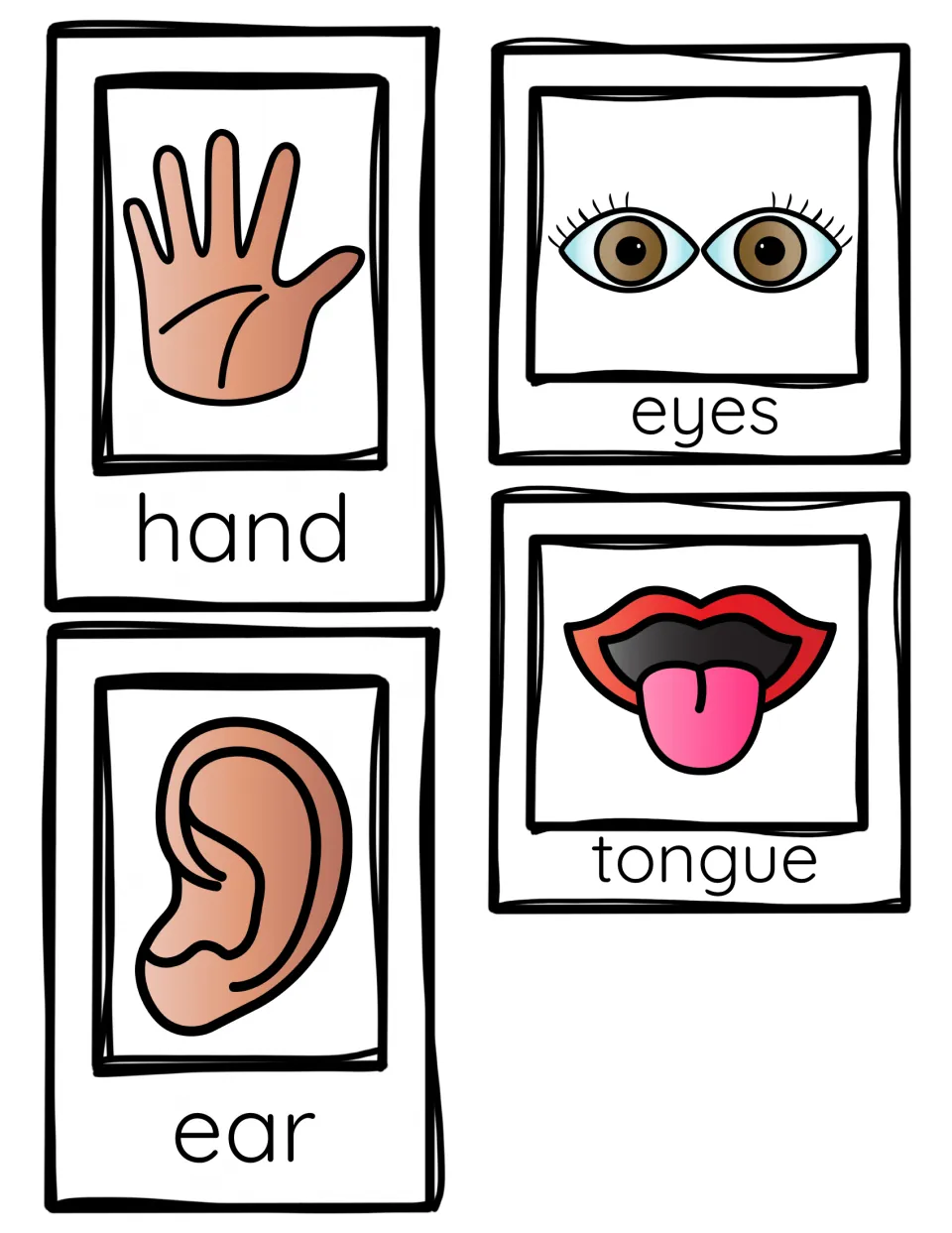Body part picture cards for the senses: hand, eyes, tongue and ear, each with a colored illustration and its word