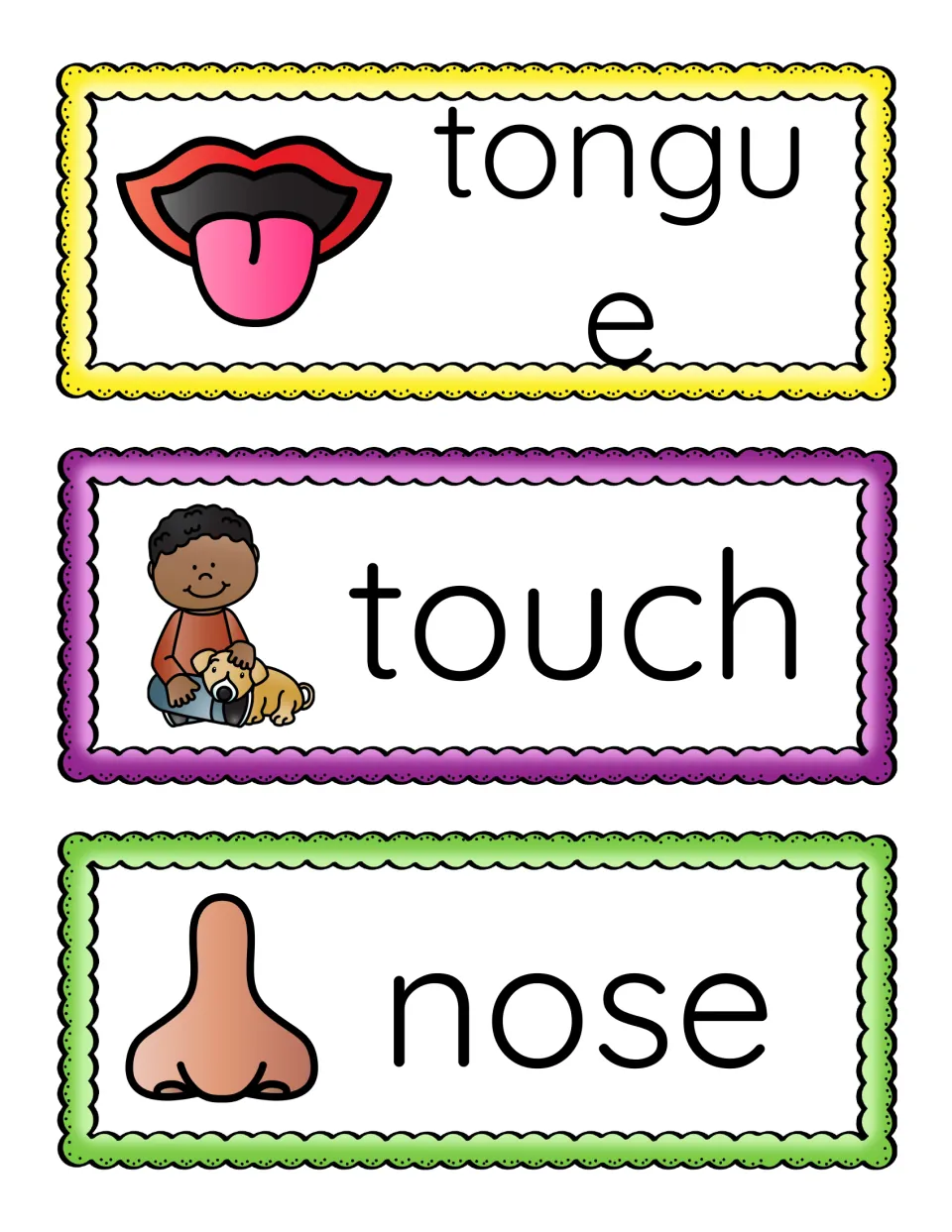 Vocabulary word strips for tongue, touch and nose, pairing each word with a picture: tongue, boy petting a dog, nose