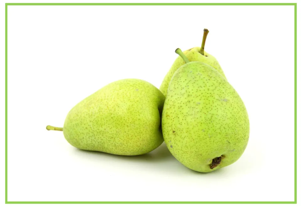 Fruit flashcard 3 for writing prompts and discussion: three green pears, including one lying on its side