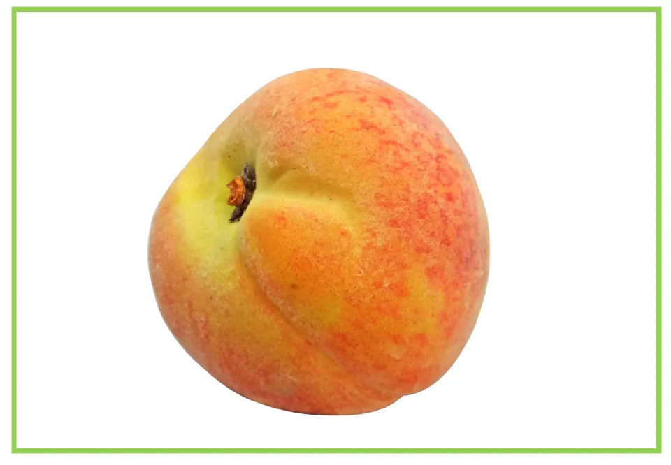 Fruit flashcard 6 for writing prompts and discussion: a whole peach with fuzzy yellow and reddish skin