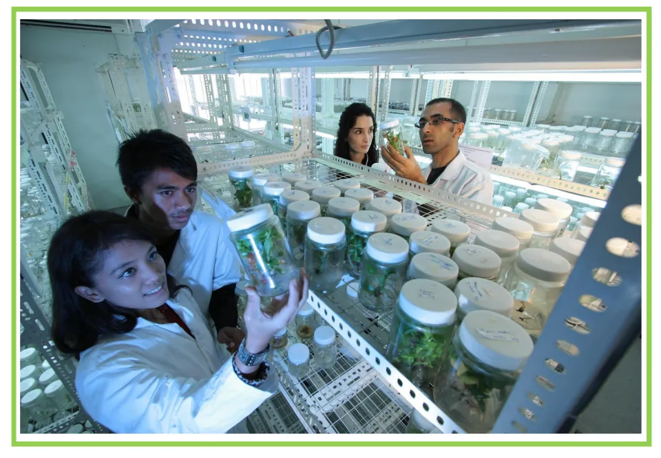 Science lab flashcard: four people in white lab coats examine plant samples in jars on shelves, a scene to talk about