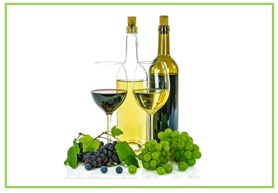 Bar and club discussion flashcard 9: red and white wine in glasses beside two bottles and bunches of grapes