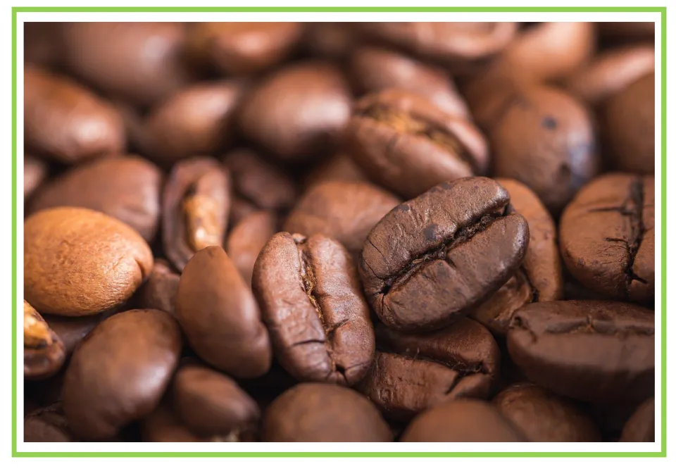 Coffee shop writing and discussion cue card 1: a close-up of roasted coffee beans showing their grooves