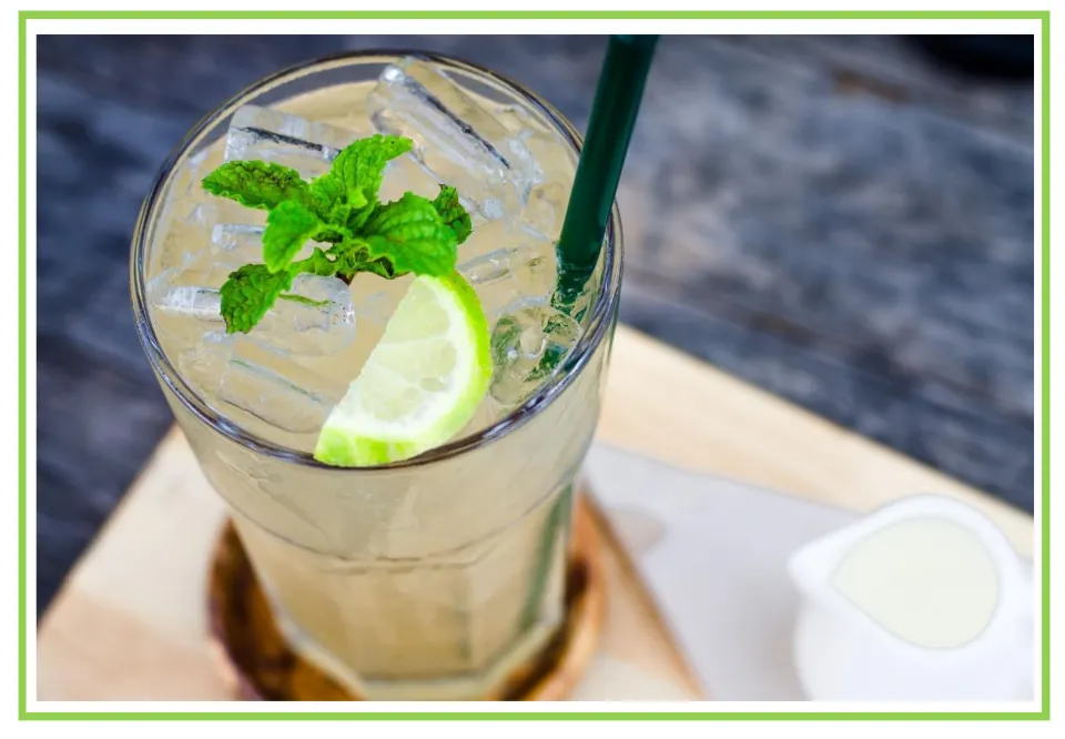 Coffee shop writing and discussion cue card 5: an iced drink garnished with mint and a lime wedge
