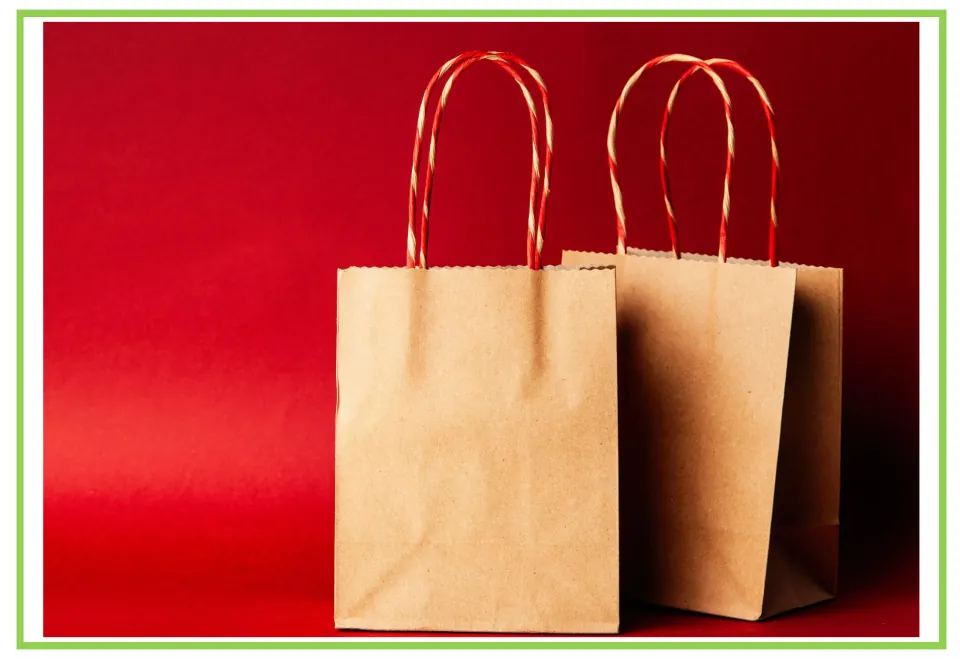 Shopping discussion and writing prompt card 10: two brown paper shopping bags with twisted paper handles