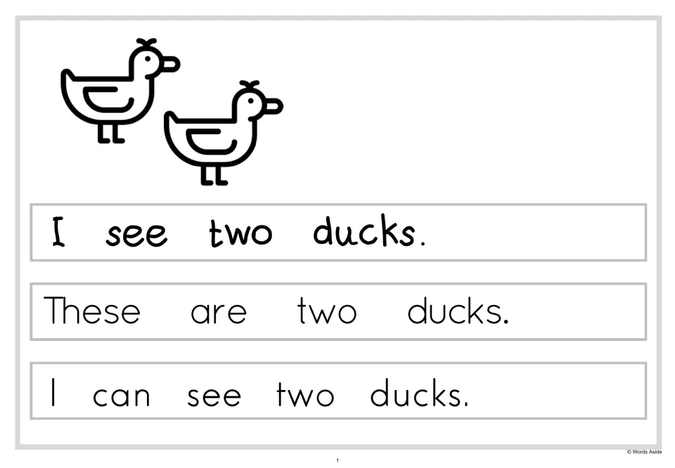Two ducks reading card: students read I see two ducks, These are two ducks and I can see two ducks