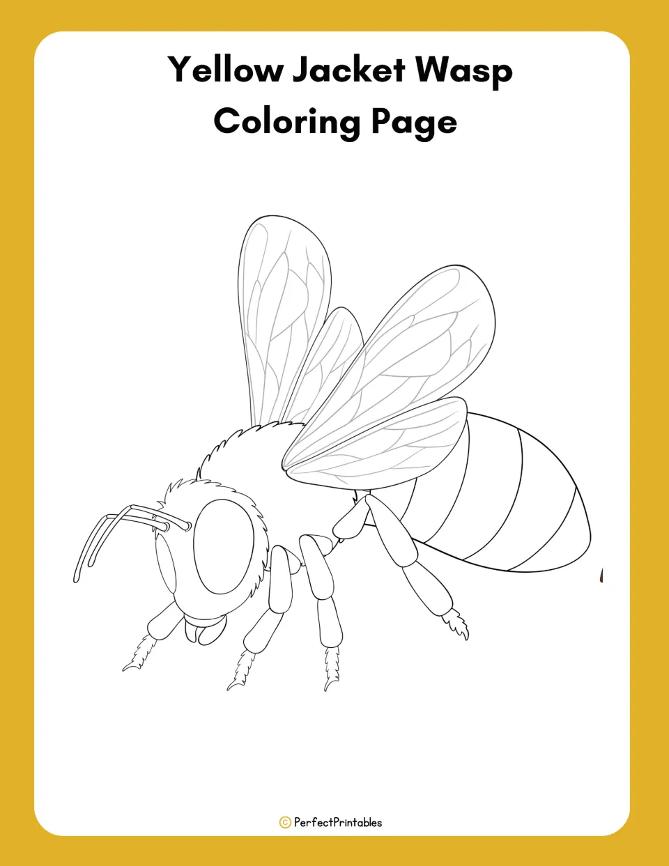 Yellow jacket wasp coloring activity concludes the life cycle resource with a large insect outline to color.