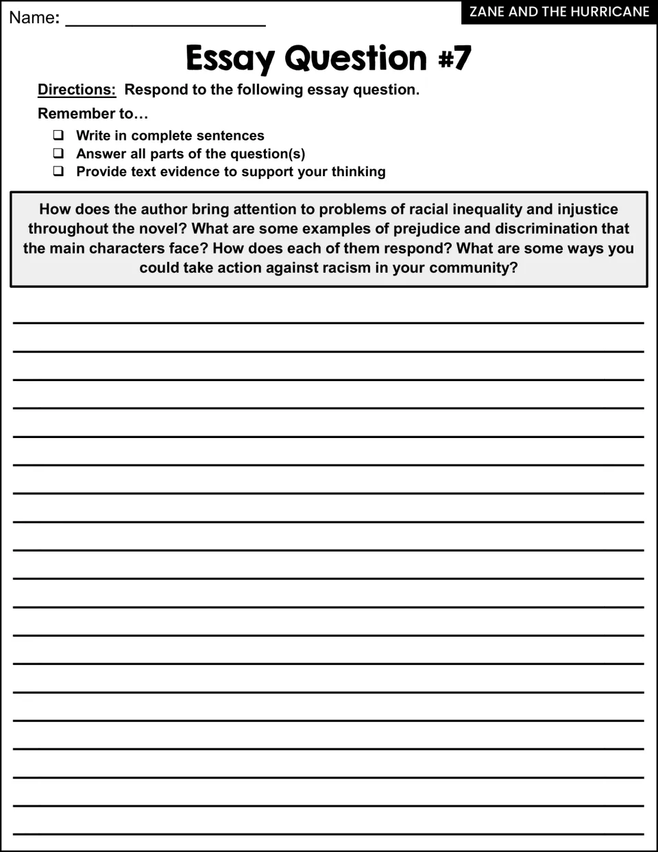 Essay Question #7: students examine racial inequality in the novel, how characters respond, and ways to act against racism