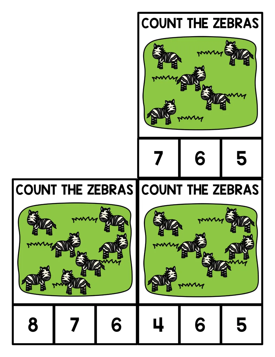 Final three zebra counting cards: students count 5, 7 and 6 zebras and clip the matching number from choices 4 to 8