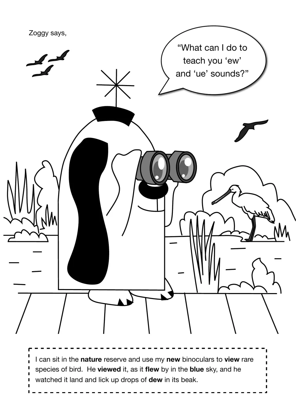 ue and ew story: Zoggy uses binoculars at a nature reserve; students read a passage with new, view, flew, blue, dew in bold