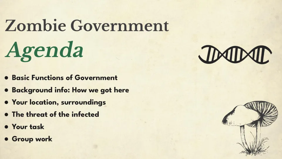 Simulation agenda: government functions, background, surroundings, infected threats, tasks, and group work