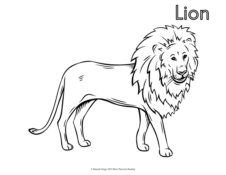 Lion: students color a standing male lion with a full, detailed mane and long tufted tail, labeled Lion in outline font